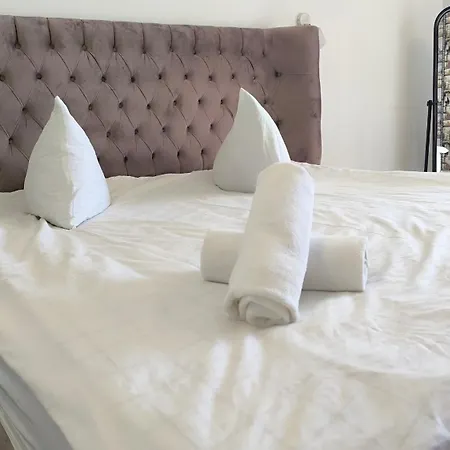 комната с двухместной кроватью в квартире с общим душем и кухней, Double In A Guest Apartment, La Cheie In Cu Dus Si Bucatarie Comuna Homestay *